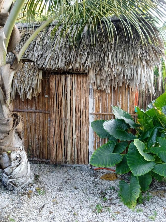 Muelle36 Hostel Bacalar Exterior photo