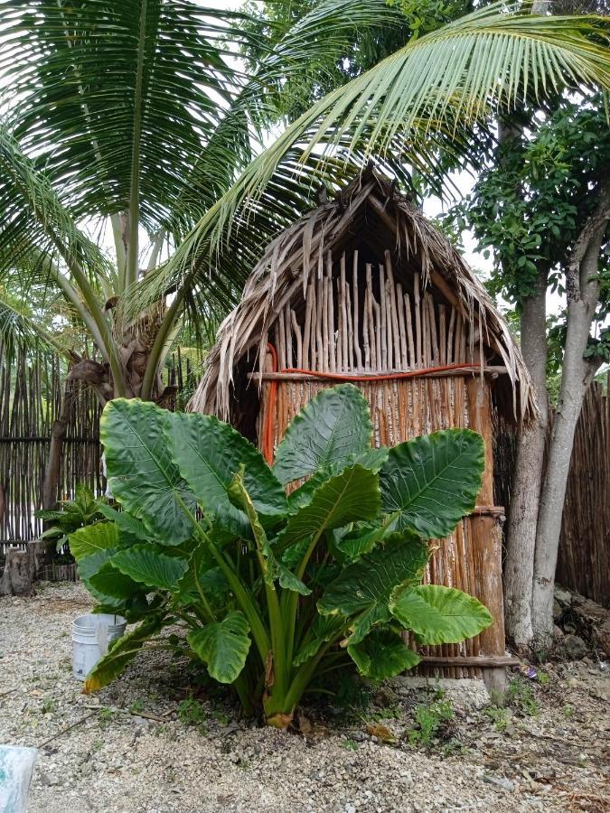 Muelle36 Hostel Bacalar Exterior photo